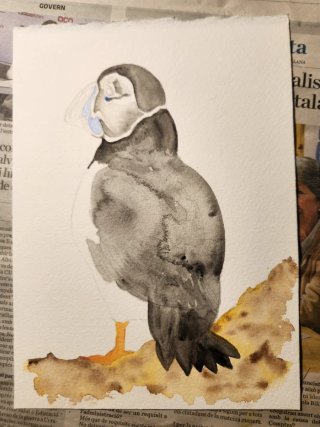 Pintura Acuarela Papagayo Marino