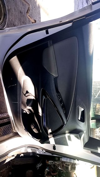 GUARNECIDO PUERTA DELANTERA IZQUIERDA Opel Crossland X (2017->)