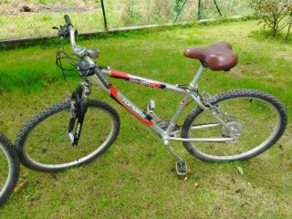 2 Bicicletas Zoom Escape