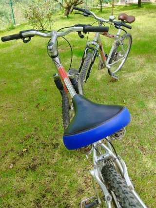 2 Bicicletas Zoom Escape