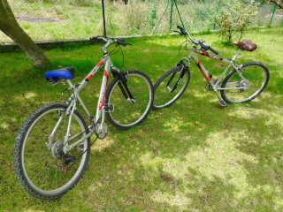 2 Bicicletas Zoom Escape