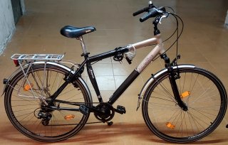 Bicicleta Olandese 28 p. Aactive 7v 1 Plato