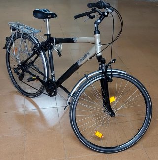 Bicicleta Olandese 28 p. Aactive 7v 1 Plato