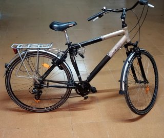 Bicicleta Olandese 28 p. Aactive 7v 1 Plato