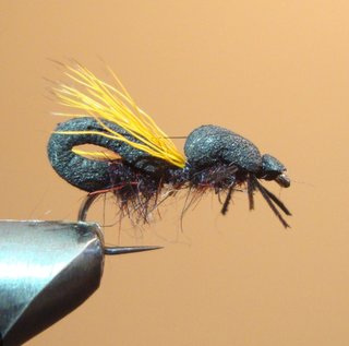 MOSCAS PARA LA PESCA DE BARBOS