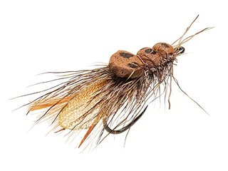 MOSCAS PARA LA PESCA DE BARBOS