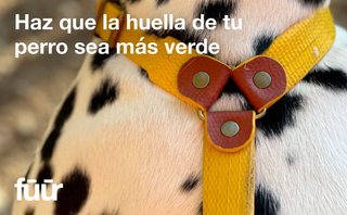 FÜÜR collar PALÜ XL reciclado cómodo resistente