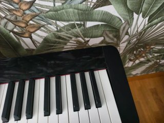 Casio Privia PXS-1100 Piano Digital 88 Teclas