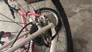 Cannondale Flash Lefty 29