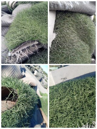 Venta de césped artificial