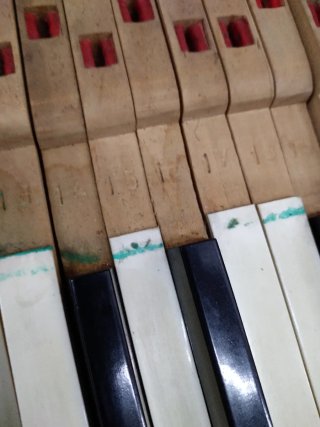 Teclas de piano vertical completo