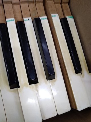 Teclas de piano vertical completo