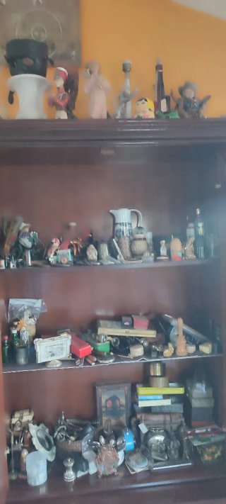 Colección de antigüedades y objetos vintage