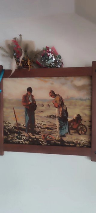 Colección de antigüedades y objetos vintage