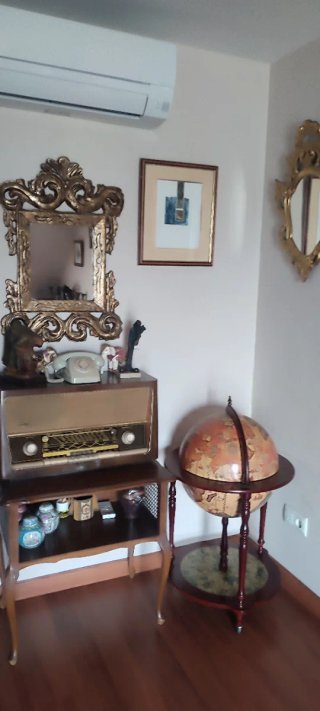 Colección de antigüedades y objetos vintage