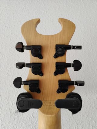 Cambio Schecter Devil 6 Diamond Series