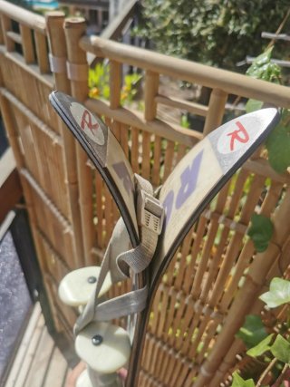 Esquís Rossignol Active