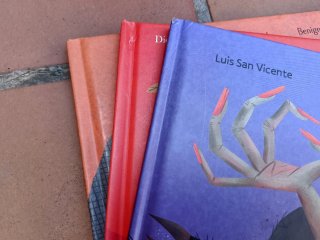 Lote álbumes ilustrados Diego Pun
