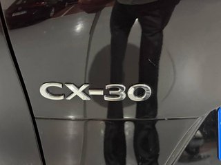 Mazda CX-30 2.5L e-SKYACT G MHEV 103kW MT