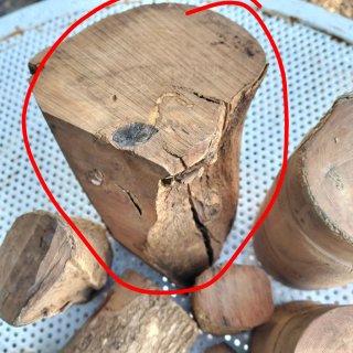 Legno di Bosso grezzo