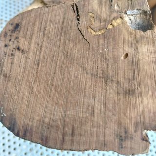 Legno di Bosso grezzo