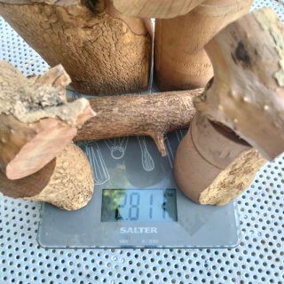 Legno di Bosso grezzo