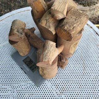 Legno di Bosso grezzo