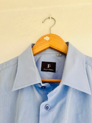 Camicie Celesti