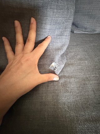 Sofá cama chaise longue. Usado por mi perro