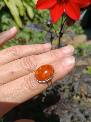 Anillo ajustable pétalos de Caléndula