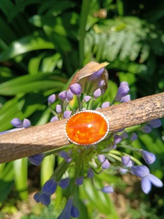 Anillo ajustable pétalos de Caléndula