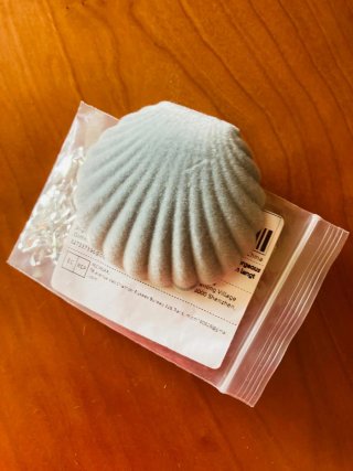 Cadena de plata y joyero