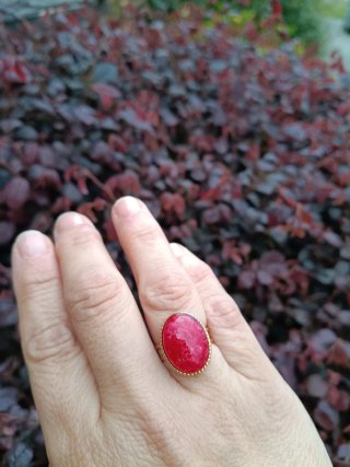 Conjunto Pendientes y Anillo  Paniculata Roja