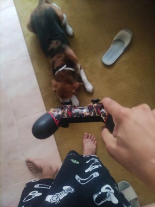 Mando PS4 y PC