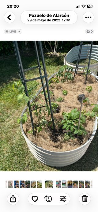 2 huertos elevado para jardin