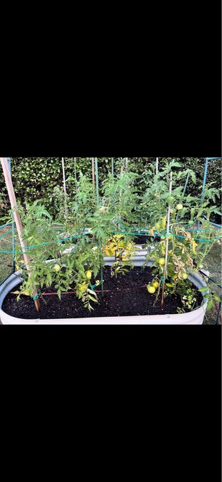 2 huertos elevado para jardin