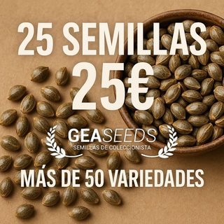 25 Semillas por 25€