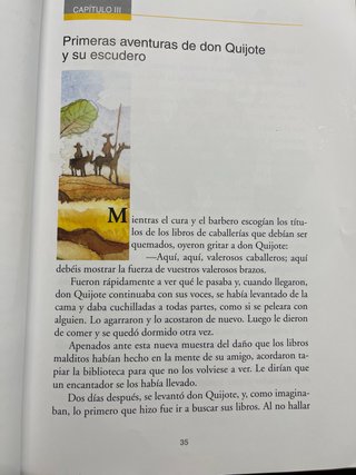 Don Quijote de La Mancha