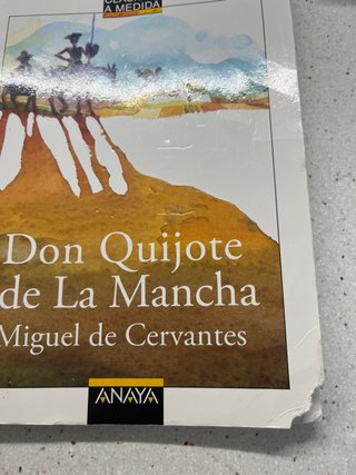 Don Quijote de La Mancha