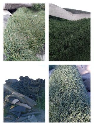 Venta de césped artificial