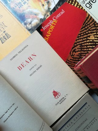 Lote de libros