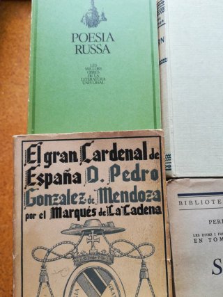 Lote de libros