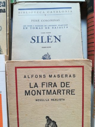Lote de libros