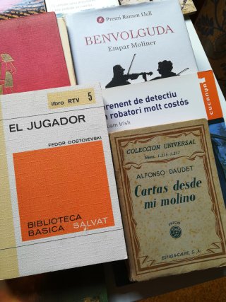 Lote de libros