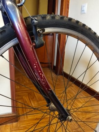Bicicleta de montaña roja