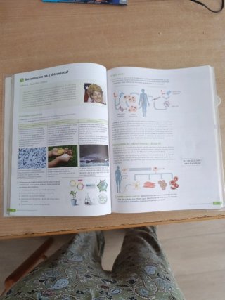 Bioloxía e Xeoloxía, 4 Secundaria, Revoa