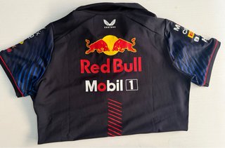 "Oportunidad" Polo Red Bull F1