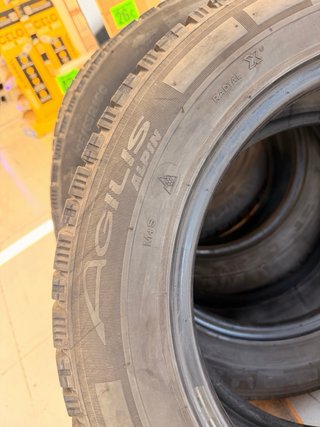 Michelin Alpin Agilis 195/65 R16
