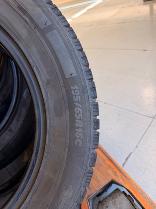 Michelin Alpin Agilis 195/65 R16