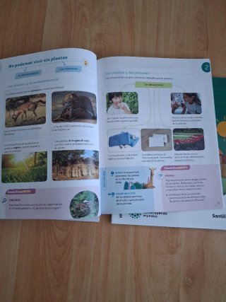 Conocimiento del Medio 4 Primaria Santillana